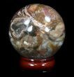Colorful Petrified Wood Sphere #36972-2